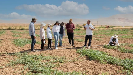 Selçuk Üniversitesi, karpuz ve kavun üretiminde su tasarrufunu hedefliyor